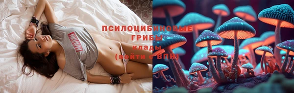 гидра Сосновый Бор