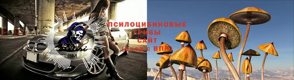 амф Слюдянка