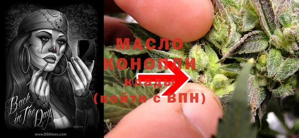 амф Слюдянка