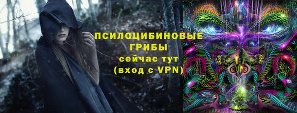 амф Слюдянка