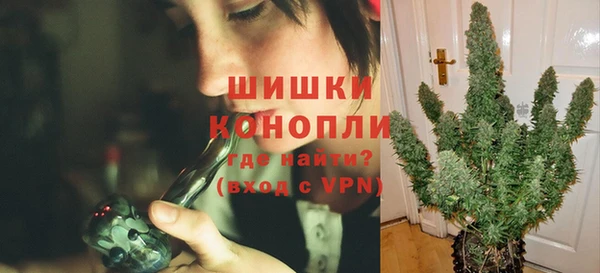 амф Слюдянка