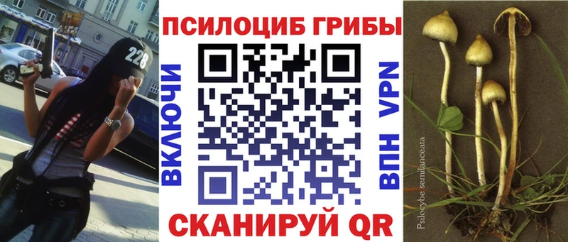 Купить где  Заполярный  Псилоцибиновые грибы Magic Shrooms 